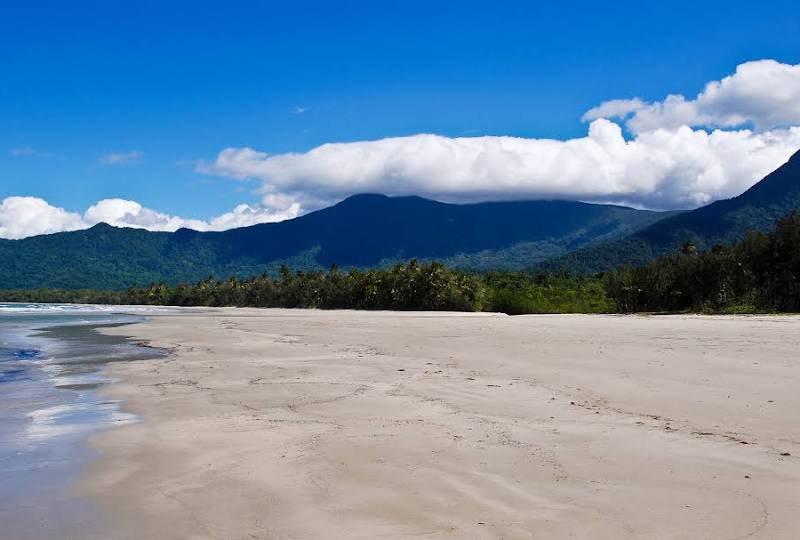 Cape Tribulation