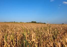 Pronóstico climático del SMN: neutralidad y variabilidad marcan el inicio del otoño