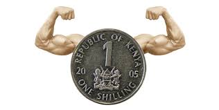 Image result for kenyan money