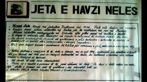 Image result for havzi nela