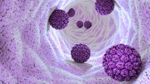 HPV Vaccine Updates: Single Dose Efficacy and Therapeutic Breakthroughs