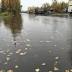NWS issues flood advisory forAnchoragebowl