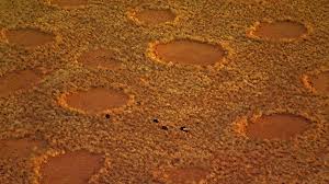 Image result for Fairy circles/pics