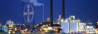 bayer aktie