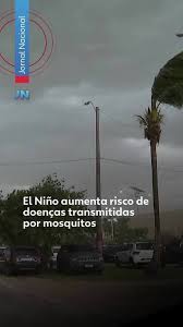 El Niño aumenta risco de doenças transmitidas por mosquitos
