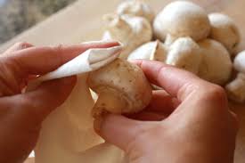 Image result for ‫روش نگهداری خوراکی ها‬‎