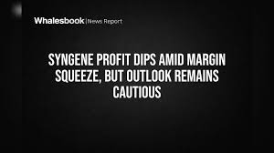 Syngene International Share Price: निवेशकों को झटका! भारी गिरावट के साथ प्रॉफिट 19% गिरा, मार्जिन पर दबाव और क्लाइंट कंसंट्रेशन बनी वजह
