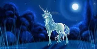 Image result for unicorn pictures