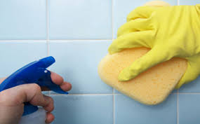 household disinfectant spray ile ilgili görsel sonucu