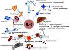 IL-(Interleukin-6) High Sensitivity Human ELISA Kit - Abcam