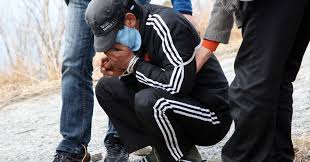 봉대산 불다람쥐