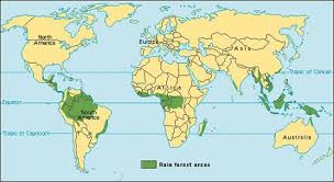 Image result for tropical rainforests around the world