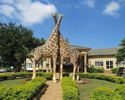 Image of Uganda Wildlife Education Centre, Entebbe