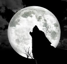 Risultati immagini per LUNA PIENA