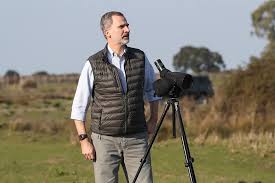 Felipe Vi De España