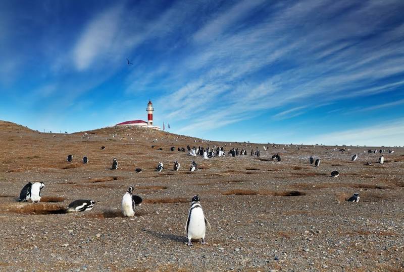 Punta Arenas