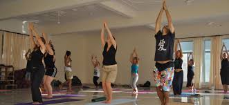 Image result for yoga schools