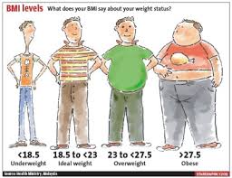 Image result for Bmi