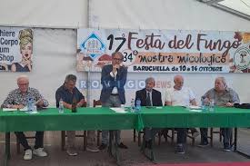Rovigo.News - News update