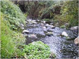 Aguas Corrientes
(los ríos)