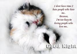Good Night Quotes | Best Quotes via Relatably.com