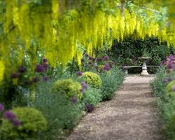 Dorothy Clive Gardens