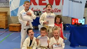 Junge Judoka holen Medaillen in Vohenstrauß und Fürth