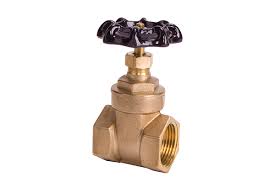 Model 210 Economy Gate Valve
