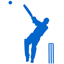 Image result for cricket