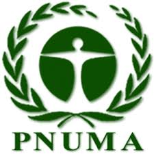 Image result for Pnuma, imagen