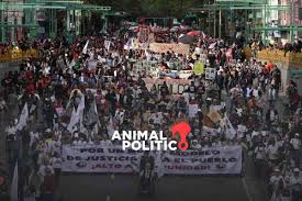 Animal Politico - News update