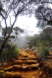 Image result for mount kinabalu