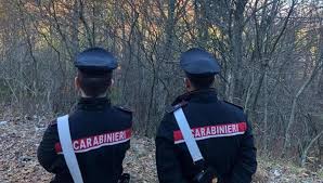 la Repubblica - News update