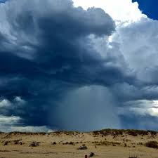 Orages en Charente-Maritime : des rafales à 128 km/h, un blessé à Fouras et de multiples dégâts — Charente Libre