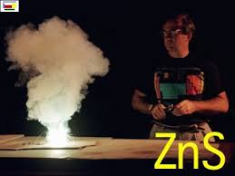 Image result for zinc burn in plants