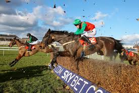 Image result for IRAN HORSES