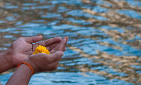 Image result for shradhanjali photos