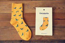 Résultat de recherche d'images pour "dinosaur socks"