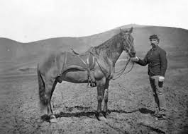 Image result for Comanche