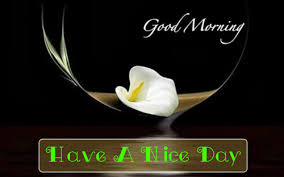 Good Morning Facebook Quotes | Hindi Good Night SMS, Morning ... via Relatably.com
