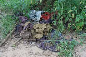 Image result for cambodia history killing fields