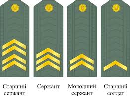 Результат пошуку зображень за запитом "день професійного сержанта в україні"