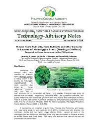 Image result for horseradish tree