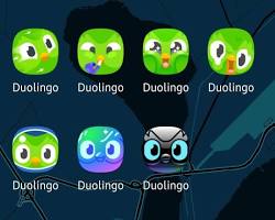 Image of Duolingo app logo