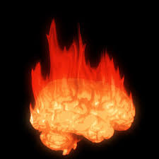 Image result for Treatment, outcome, and relapses Anti-NMDA Receptor