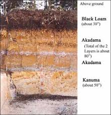 「Kanuma soil」の画像検索結果