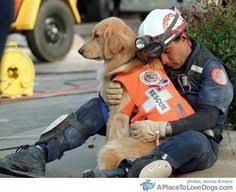 Discover 61 I want a dog! and cute animals ideas | pets ...