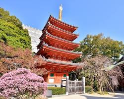 東長寺 福岡の画像