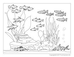 fish coloring pages ile ilgili görsel sonucu