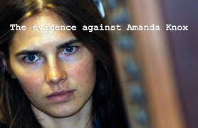 Image result for amanda knox